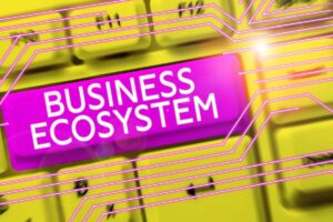 The Benefits of Affiliate Relationships in Franchising